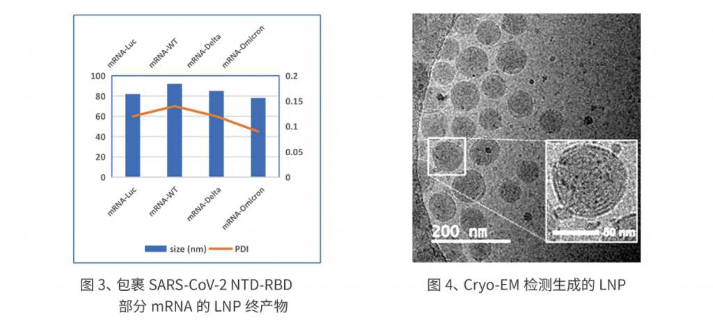 LNP(脂质纳米颗粒)合成仪(LNP-S1-L)插图5