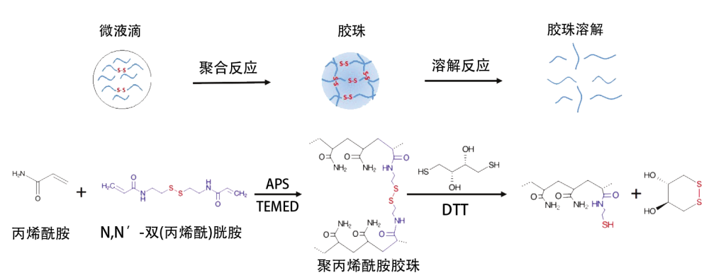 实验方案：微滴制备仪制备含Oligo DNA的可降解凝胶珠插图