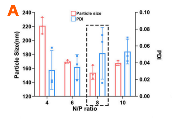 不同氮磷比下LNP的特征