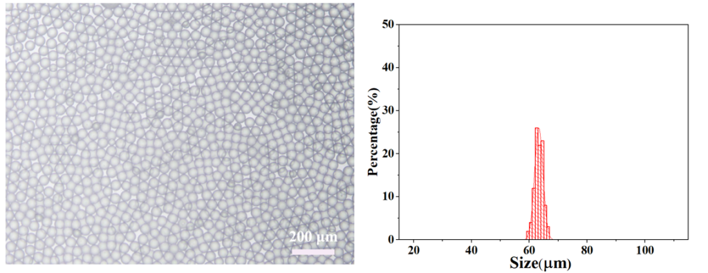 刚接收的微滴平均粒径为62.76 μm，具有*高的单分散性(变异系数: CV=2.79%)