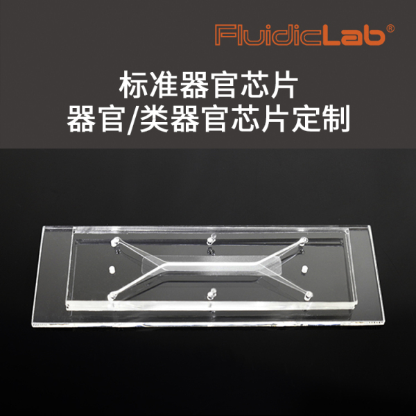 标准器官芯片/器官类器官芯片定制