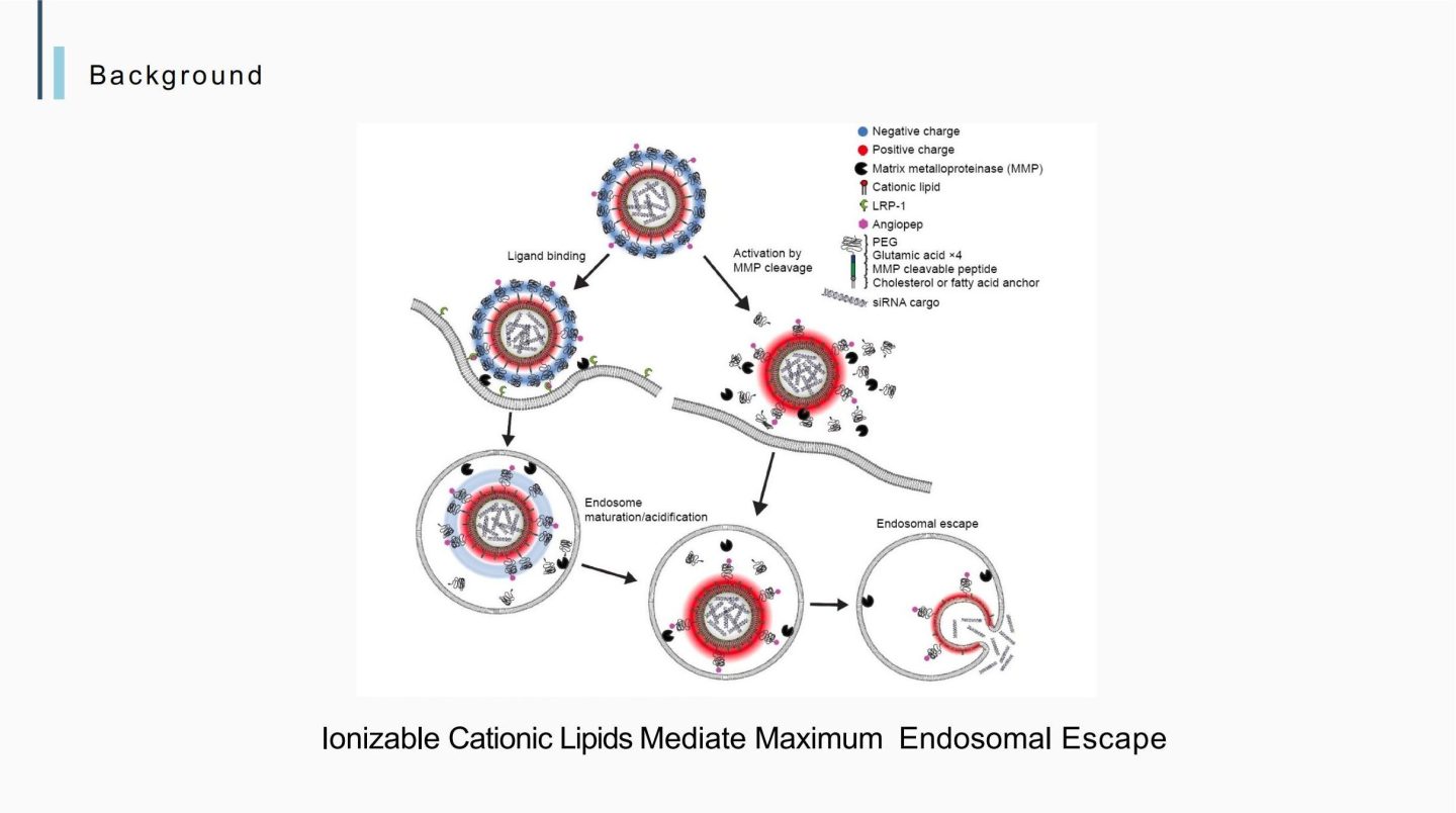 LNP Production with microfluidics（LNP理论基础）