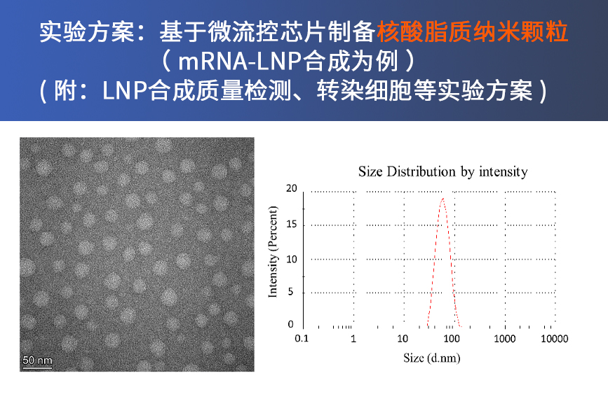 实验方案：基于微流控芯片制备核酸脂质纳米颗粒（mRNA-LNP合成为例）（附：LNP合成质量检测、转染细胞等实验方案）