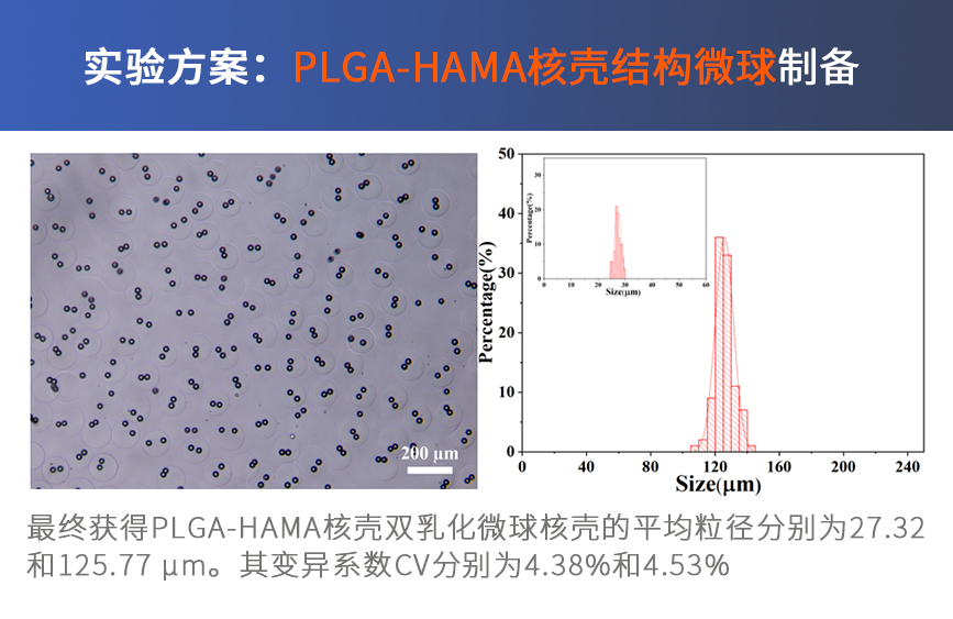 PLGA-HAMA核壳双乳化微球