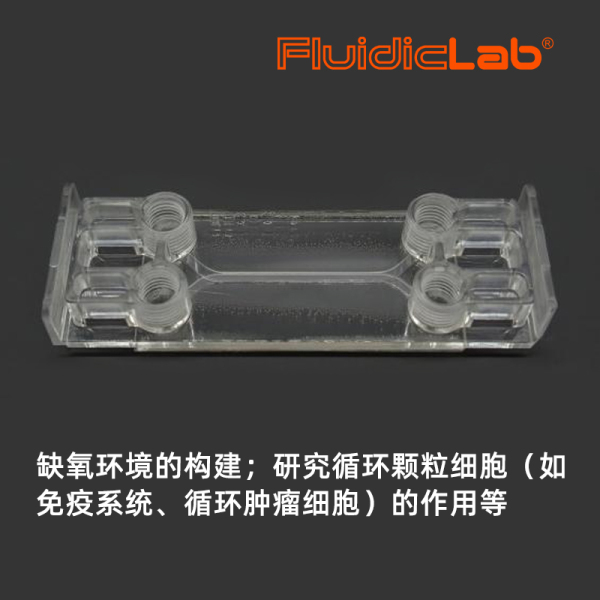 Be-Doubleflow器官芯片-缺氧环境的构建、研究循环颗粒细胞、内皮/上皮屏障研究