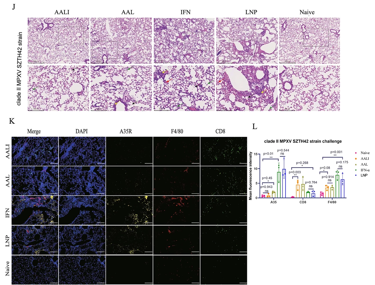 【客户论文导读】一种多价mRNA-LNP疫苗在小鼠猴痘病毒感染模型中引发了强烈的免疫反应并提供了保护插图7 疫苗对于小鼠的保护效力检测
