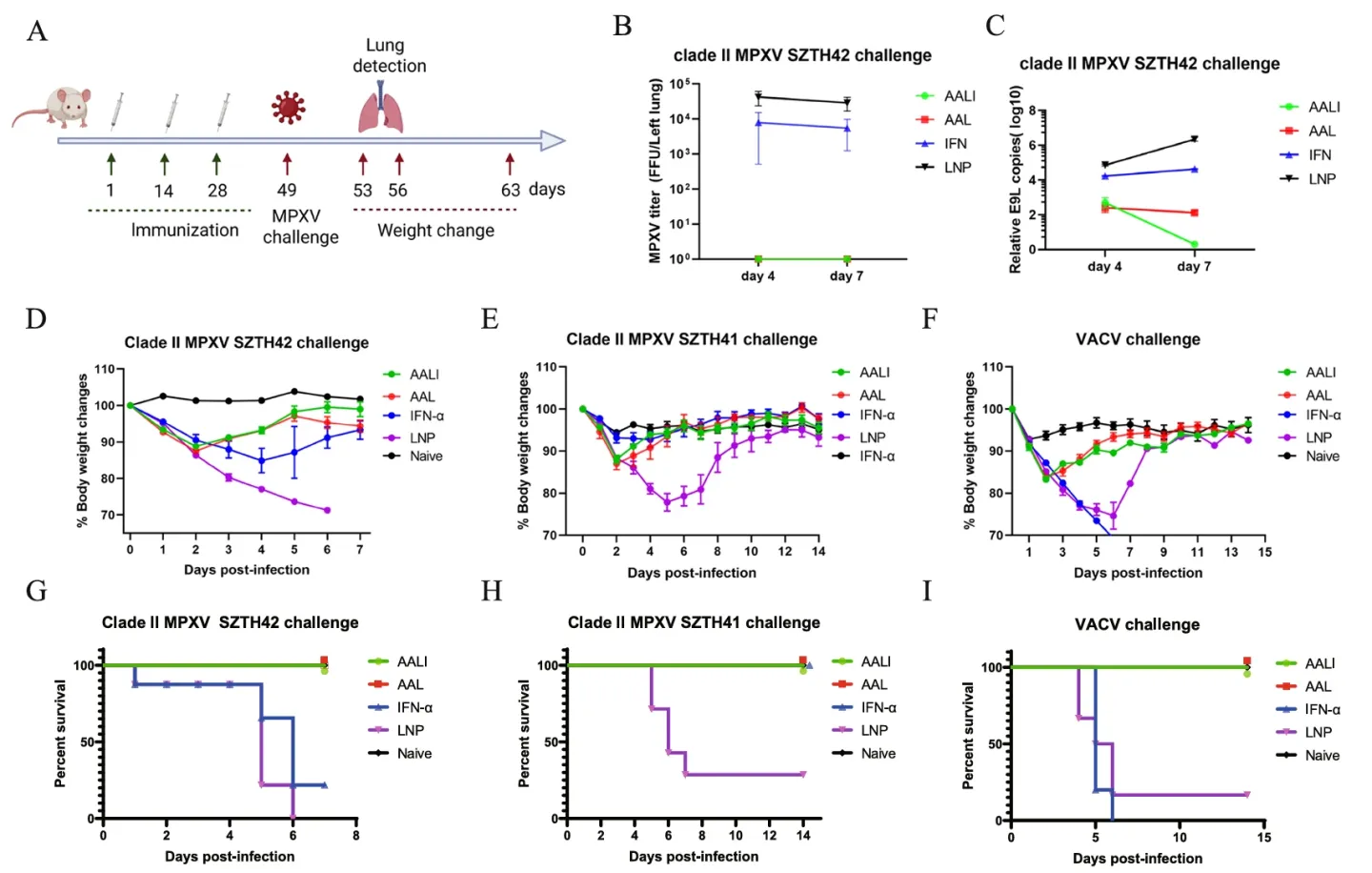 【客户论文导读】一种多价mRNA-LNP疫苗在小鼠猴痘病毒感染模型中引发了强烈的免疫反应并提供了保护插图6 疫苗对于小鼠的保护效力检测