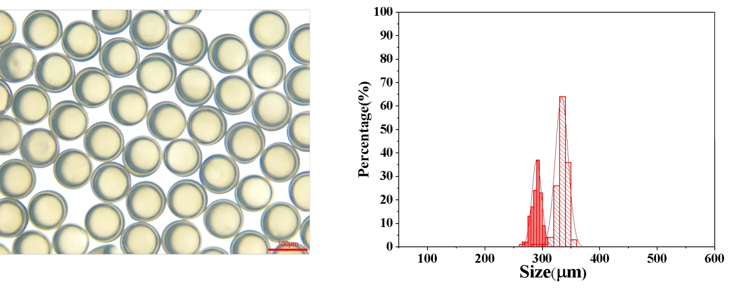 实验方案:微流控方式制备全氟己酮灭火微胶囊插图2 固化后的全氟己酮微胶囊囊壳平均粒径:333.74 μm,变异系数(CV):3.35%;囊芯平均粒径:290.18 μm,变异系数(CV):2.89%。其显微镜图和粒径分布如下图所示:
