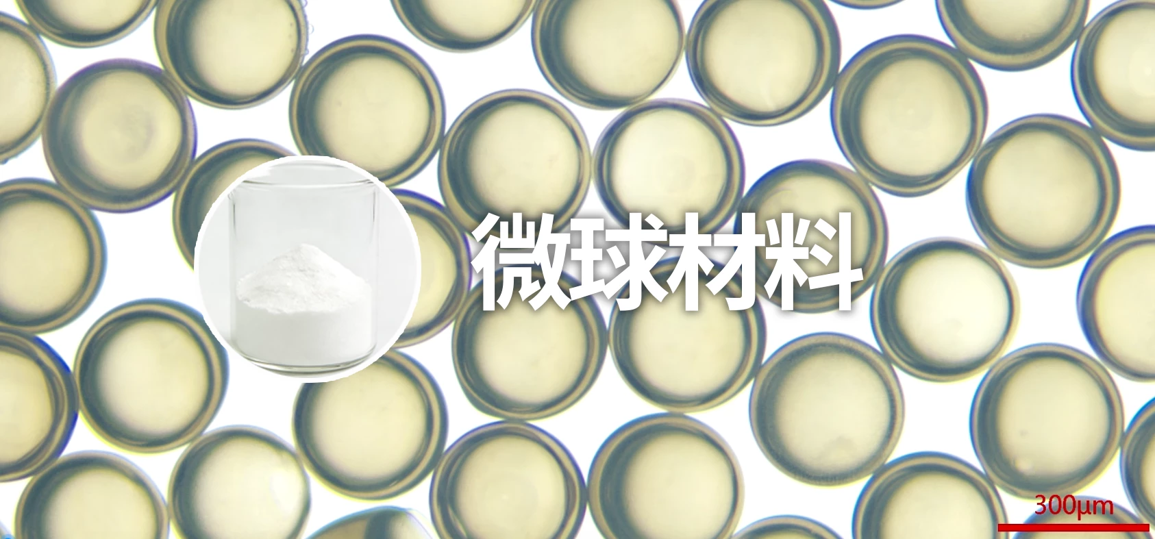 微球材料