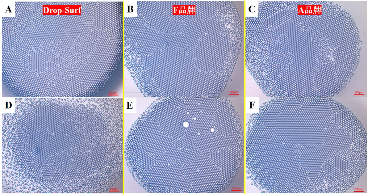 图5 反转录前(A，B和C)后(D，E和F)显微镜对比图