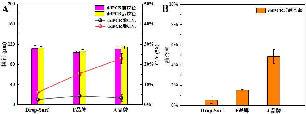 图3 ddPCR前后液滴单分散性变化(A)及ddPCR后融合率统计(B)