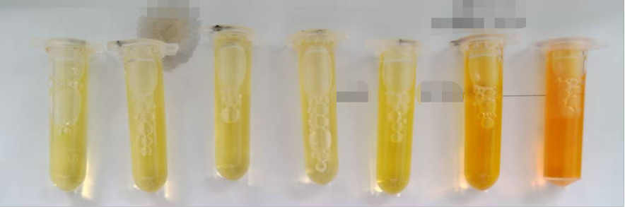图2.破乳前的标曲制备及标曲示意图
